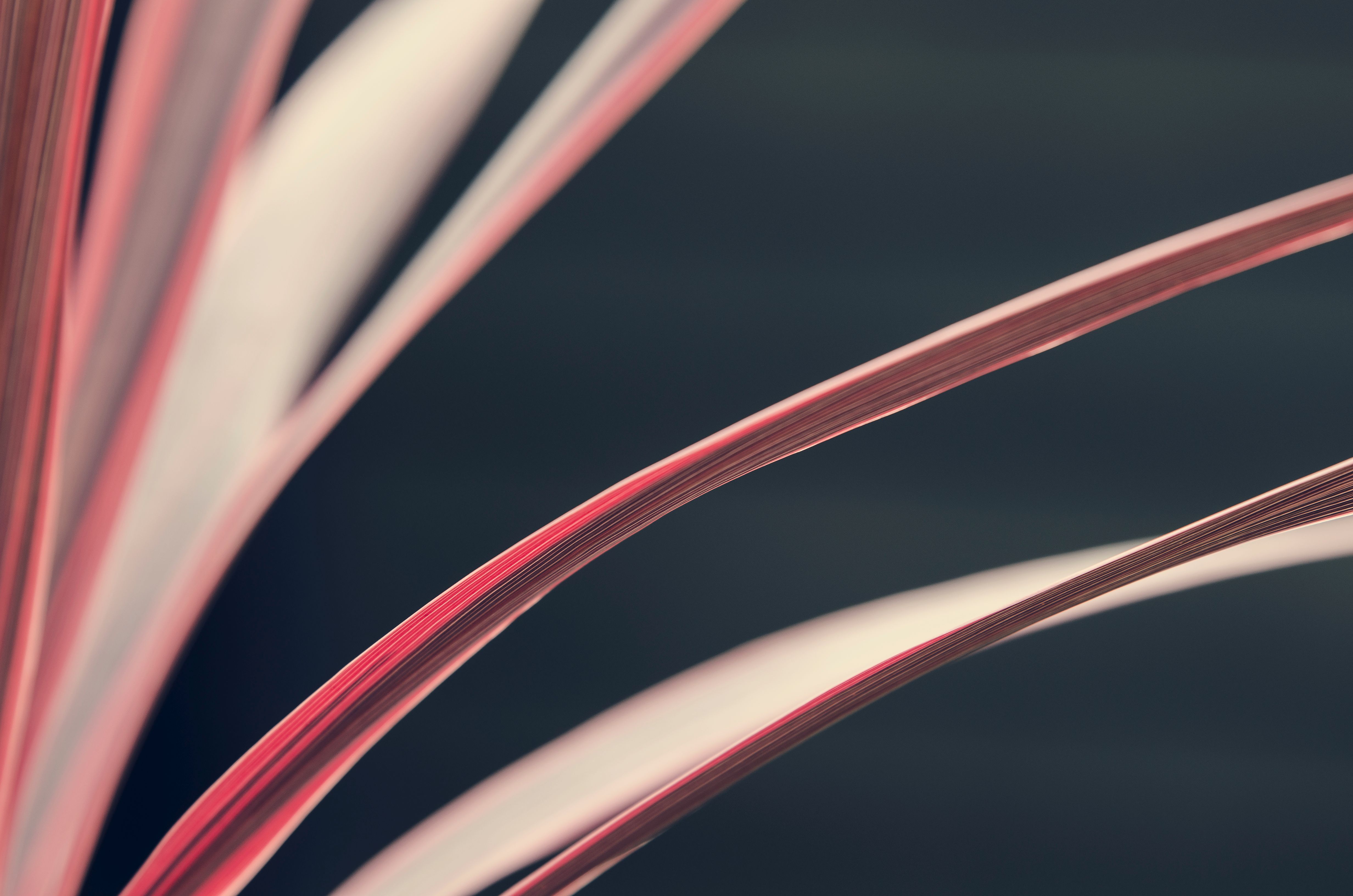 ASOCIAȚIA PENTRU CULTURĂ ȘI TRADIȚIE ANTON PANN